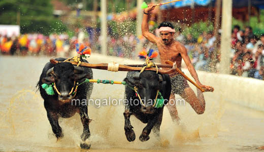 Rama Lakshmana Jodukare Kambala